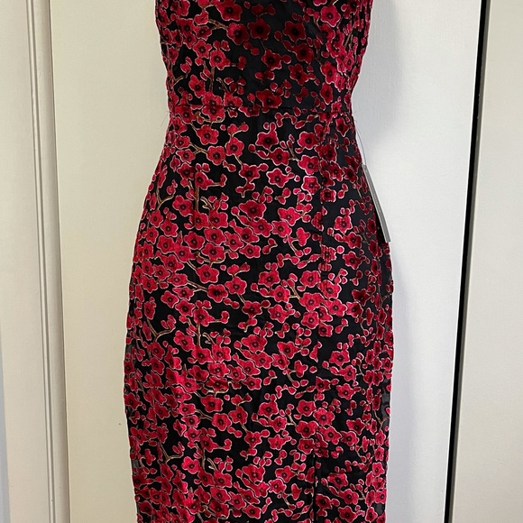 Black and Red Floral Print Burnout Velvet Midi Dress - Picture 5 of 6